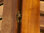 Sdraio elegante in legno TUMA Sdraio da Giardino Legno di Acacia Schienale