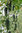 Serra da giardino accessibile 200x77x169cm per ortaggi telone a griglia in PE