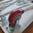 Tavolo Toelettatura Max Premium con RUOTA per cani 91 x 61 x 76 cm