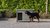 Cuccia per cani Fante 2x2 con tetto e canile Ferro 2x2m
