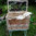 Conigliera Recinto piccoli animali  gabbia per criceti roditori legno 60 x 35 x 42 cm (L x P x A)