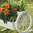 Doppia fioriera carretto bianco 44 cm x 42 cm x 40 cm