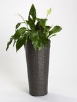 Vaso da fiori in polyrattan grigio tondo 28 x 28 x 60 cm