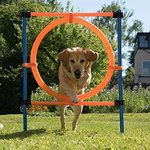 Agility Dog Anello per percorsi ad altezza regolabile e completo di pratica borsa in nylon, 55cm
