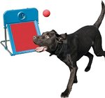 Dog Agility Flyball kit, rosso/blu