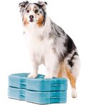 Propel Air Platform Kit, accessori professionali per addestramento del cane confezione da 2, turches