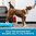 Propel Air Platform Kit, accessori professionali per addestramento del cane confezione da 2, turches