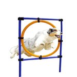 Attrezzature ,anello di salto regolabile in altezza per l'addestramento per cani