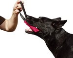 Salsiccia per addestramento del cane di protezione (15x5 cm, 1 maniglia, rosa)