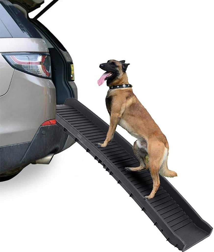 Rampa per cani e gatti, leggera e pieghevole, passerella portatile per  animali domestici - animalmarketonline