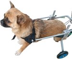 Dog wheelchair,carrozzina for riabilitazione for animali domestici,carrello 4 ruote in acciaio,XXXS